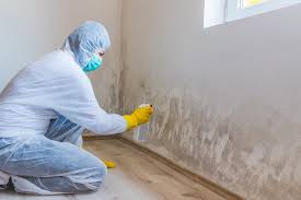 Trusted Aurora, IL Mold Prevention & Removal  Experts